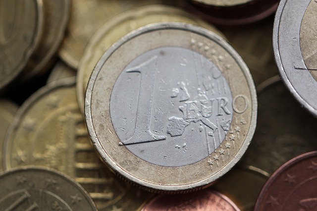 1 euro – mince
